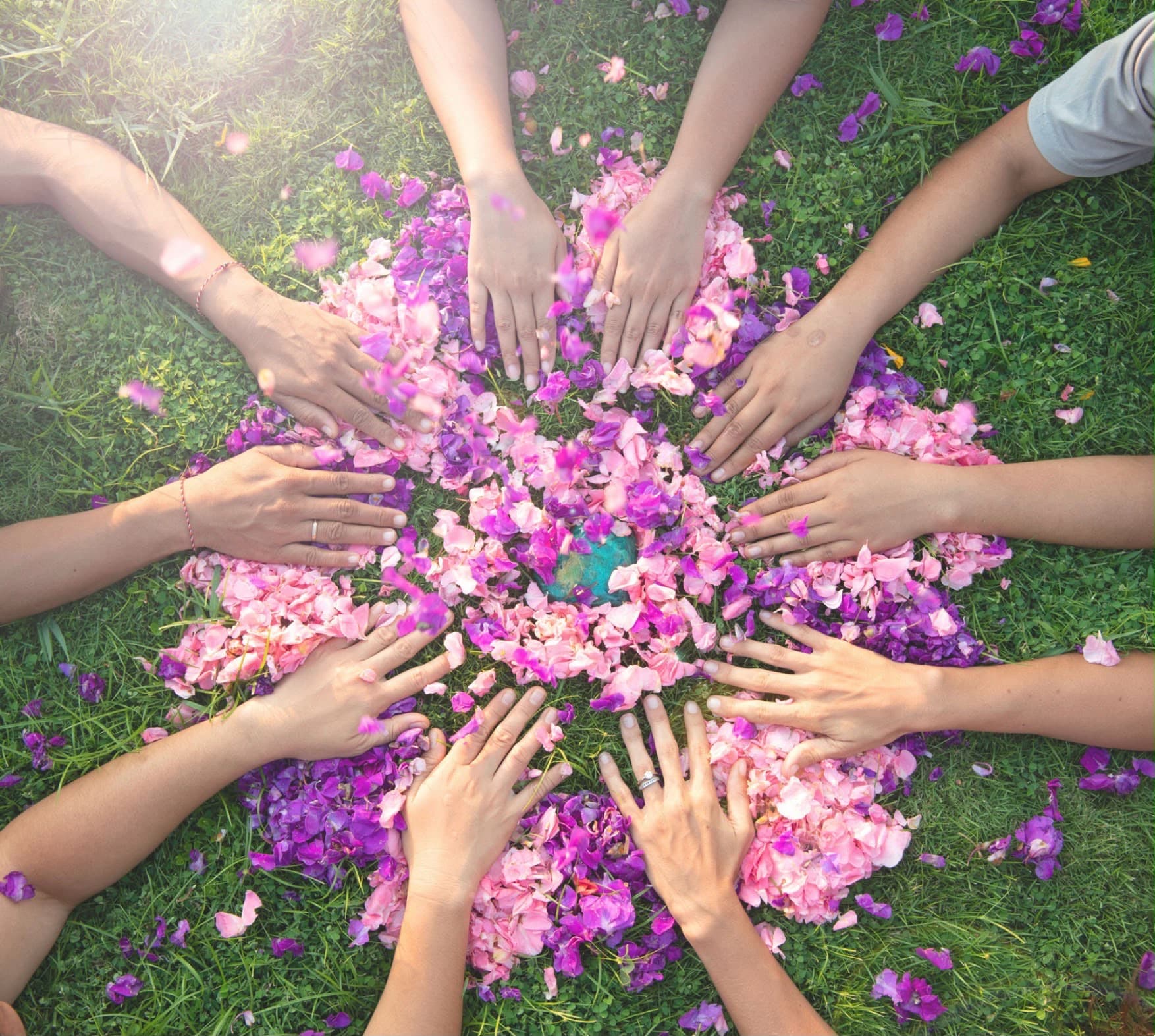 Women gathered in a circle, hands meeting over a mandala of pink and purple flower petals